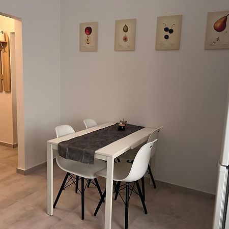 Apartament Paprotka Skarżysko-Kamienna Eksteriør billede